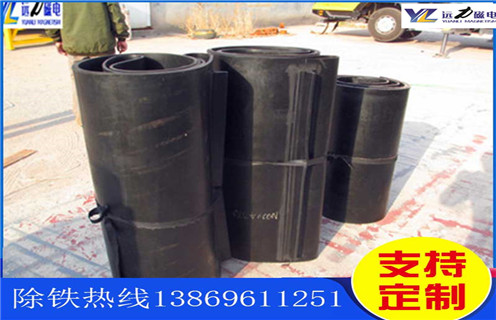 不锈钢草莓视频成人在线观看皮带厂家服务湖南皮带悬挂式草莓视频成人在线观看